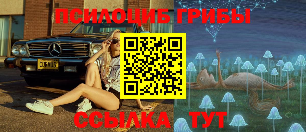Заволжье  Галлюциногенные грибы MAGIC MUSHROOMS  Псилоцибиновые грибы мицелий  где продают наркотики  Вход с VPN 