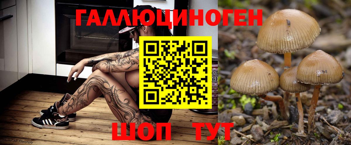 Псилоцибиновые грибы GOLDEN TEACHER Заволжье